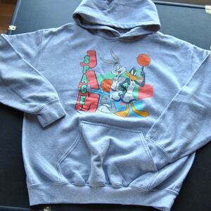 Space Jam Medium Gray Pullover Hoodie
